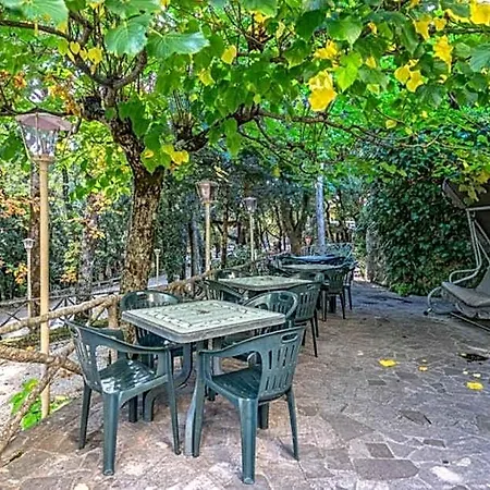 Paradiso Hotel 3*